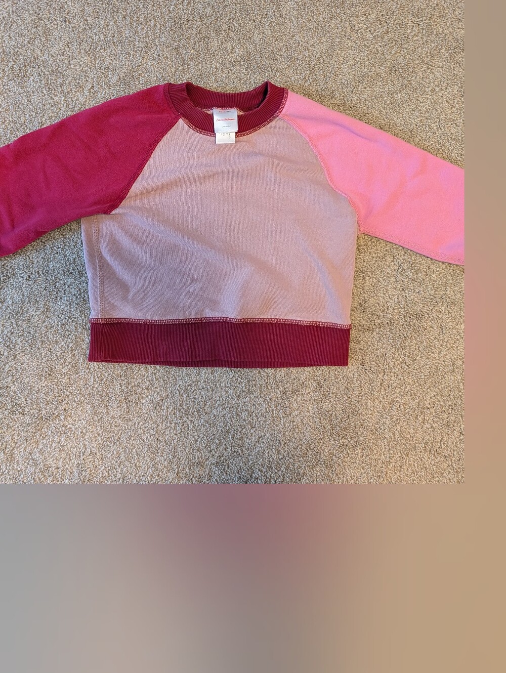 Hanna Andersson Pink, Light Rose & Burgundy Colorblock Crewneck Sweatshirt